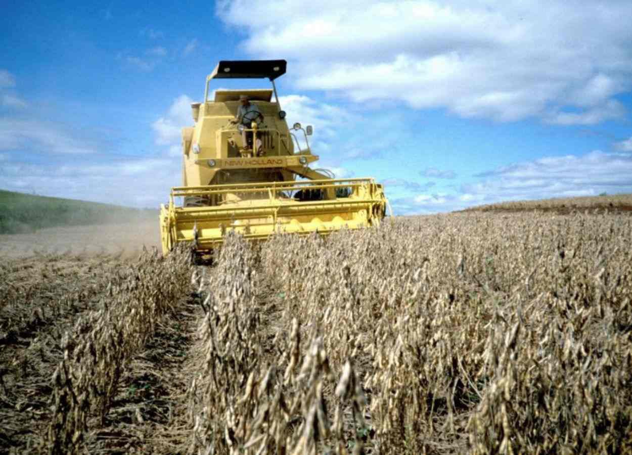 RS Safra 2025/26: chuvas atrasam colheita da soja