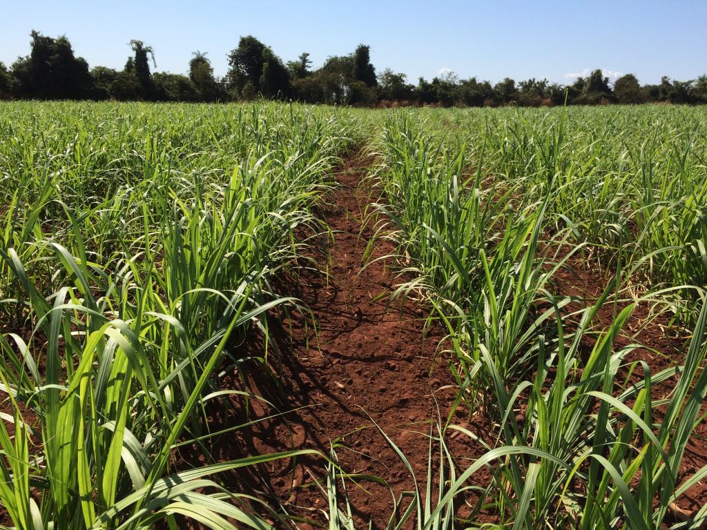 Microgeo apresenta programa de reestruturação do solo na AgroBrasília