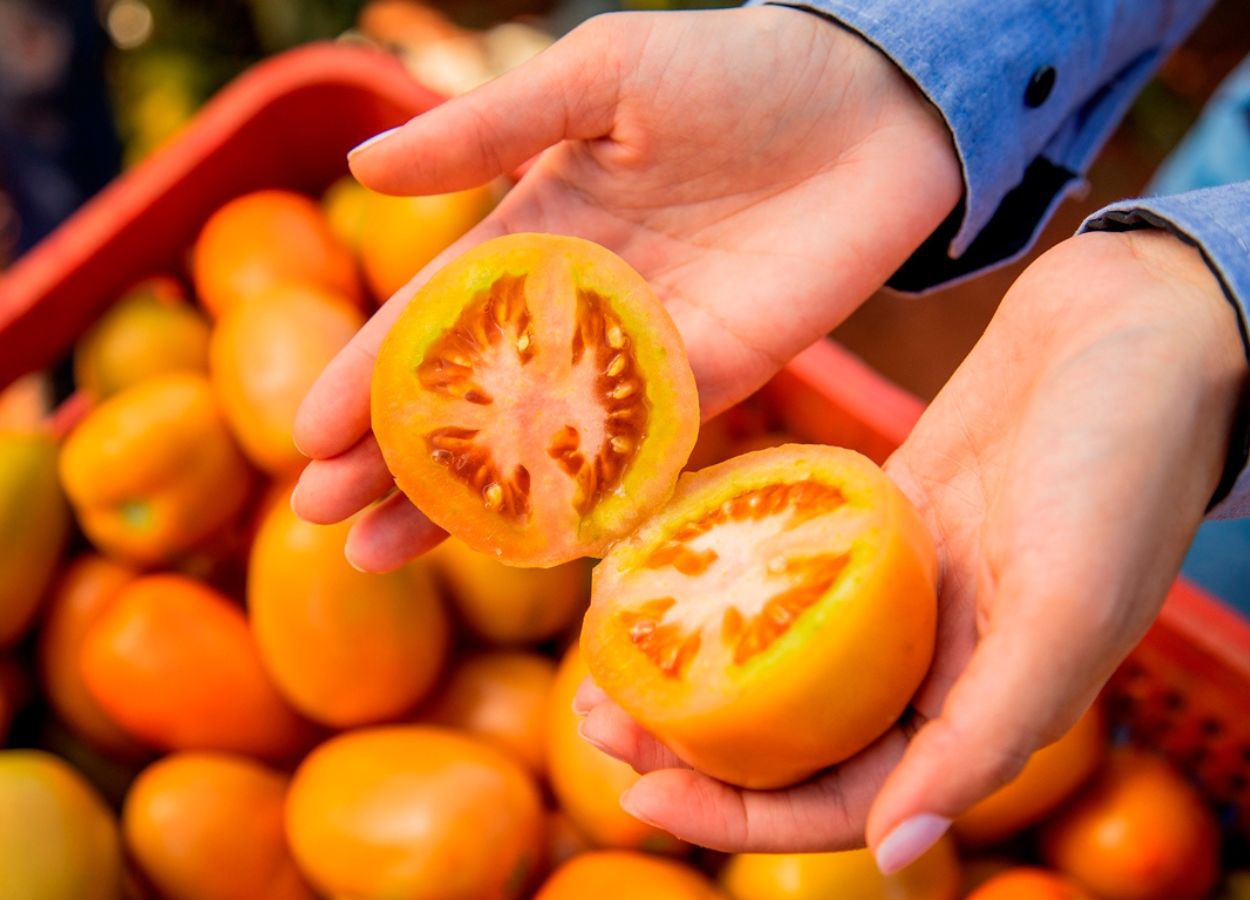 Mibelya®, Melyra® e Vinquo® permitem melhor controle de doenças e de pragas, auxiliando na produção de alimentos da forma reconhecida como ideal pelos consumidores de hortifrúti