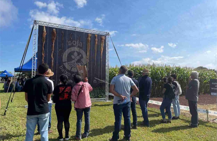 Embrapa Soja promove Dia de Campo de Verão