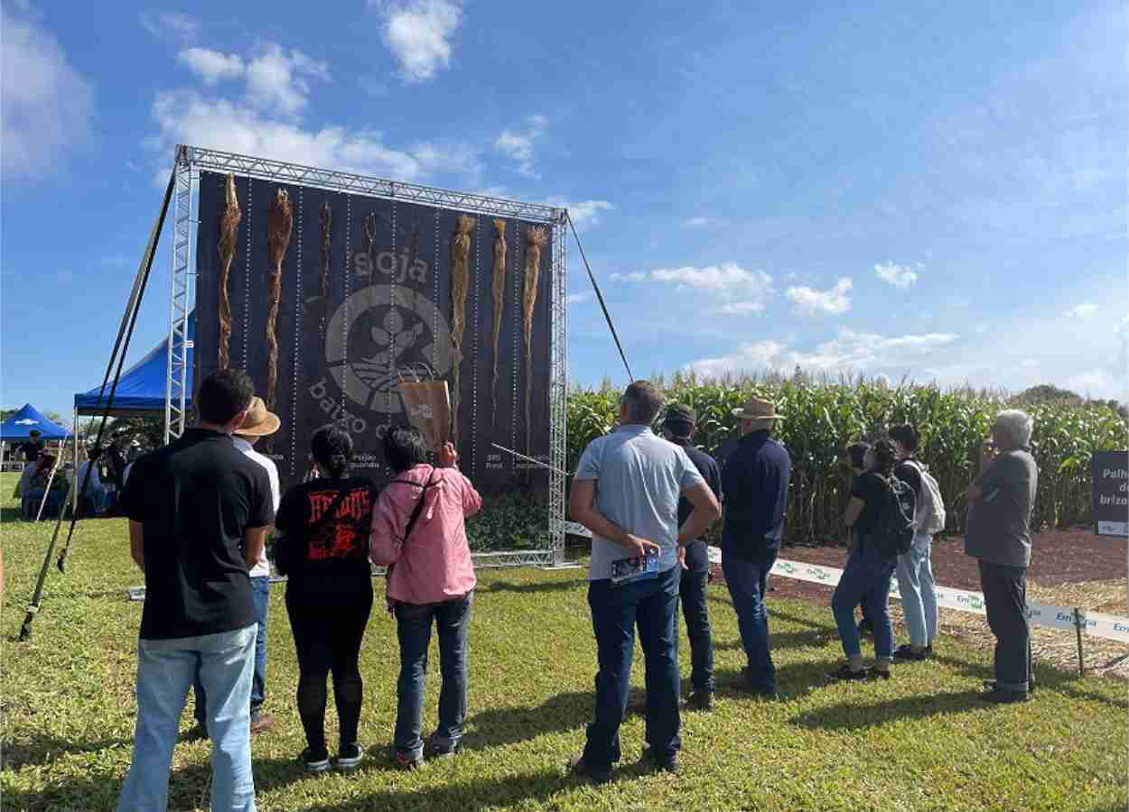 Embrapa Soja promove Dia de Campo de Verão