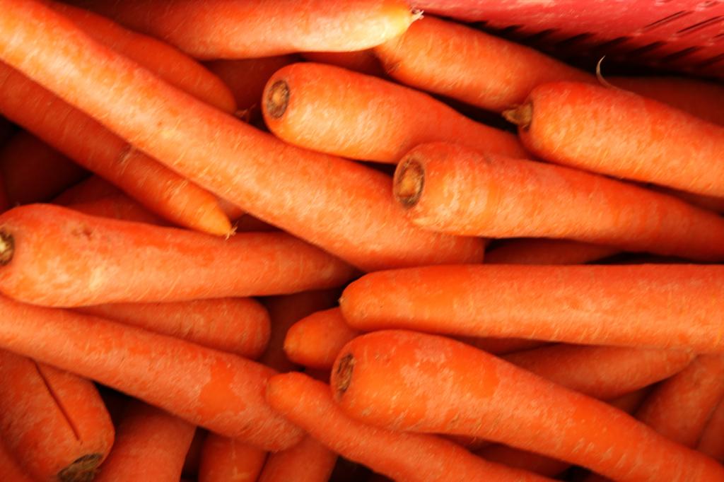 Palestra na Esalq aborda cultivo de cenoura