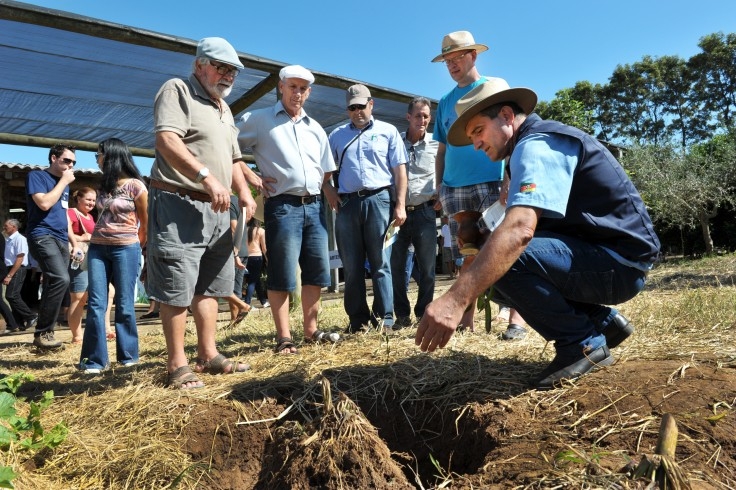 Expoagro 2014 - Formas de aumentar a fertilidade do solo são apresentadas pela Emater/RS-Ascar