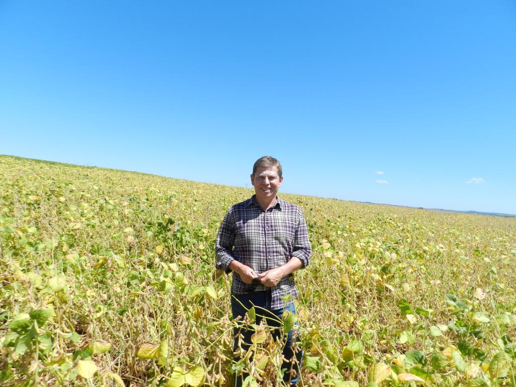 Cultivar da Embrapa amplia potencial de rendimentos da soja no RS