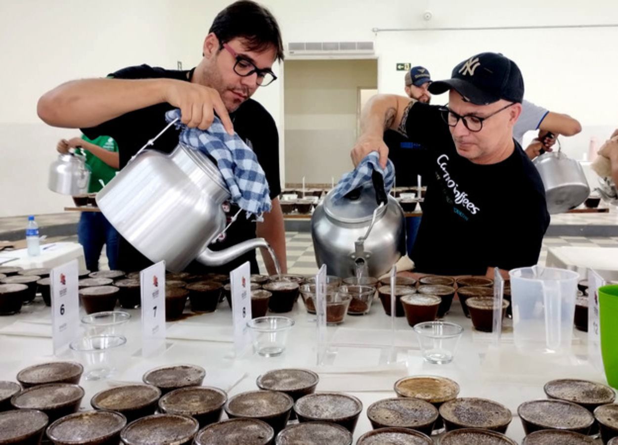 Emater-MG annoncera les meilleurs cafés de la récolte 2025 le 11.