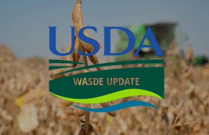 USDA reduz projeções da soja americana para 2025/26