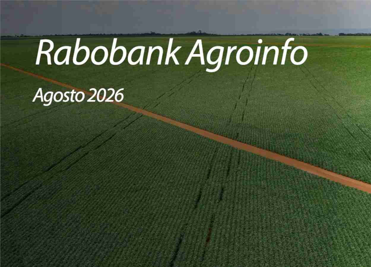 Fertilizantes e demanda redesenham cenário das principais culturas