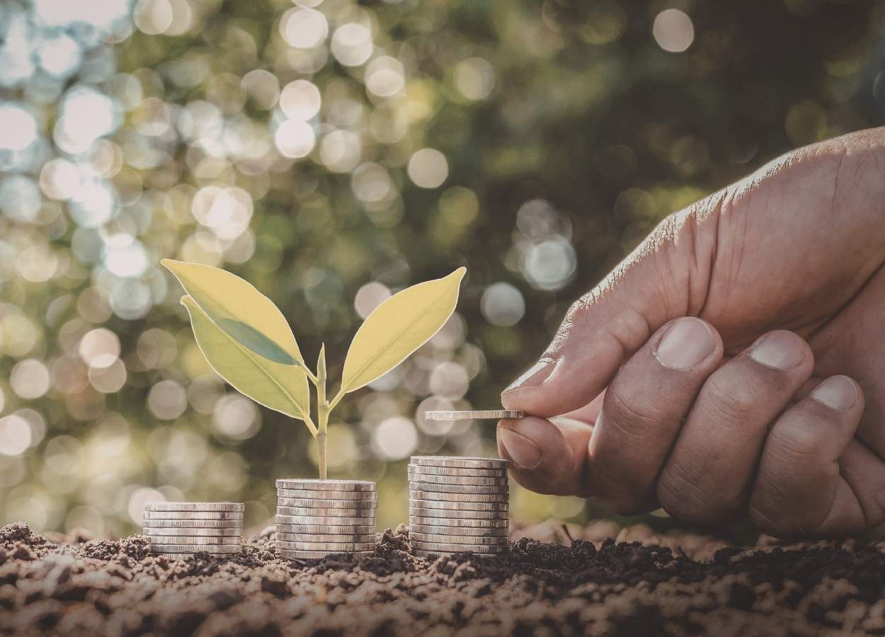 Crédito rural avança 10% e atinge R$ 404 bilhões