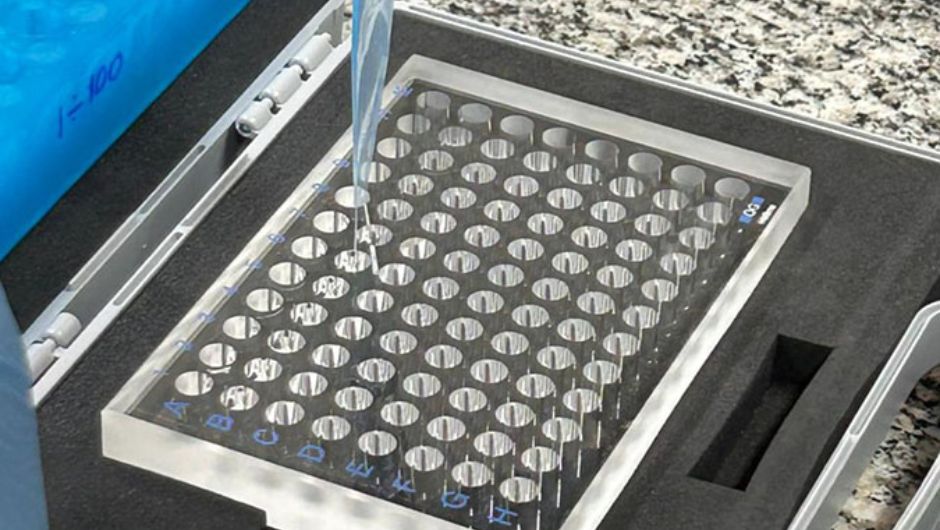 Foto: Michel Rocha Baqueta