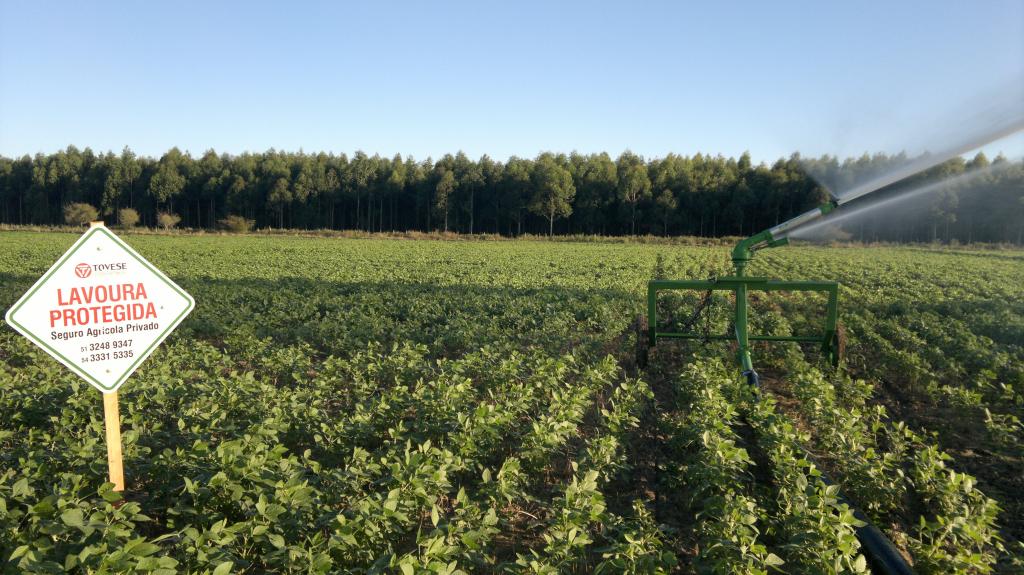 Eventos do agronegócio gaúcho pautam tema do seguro rural