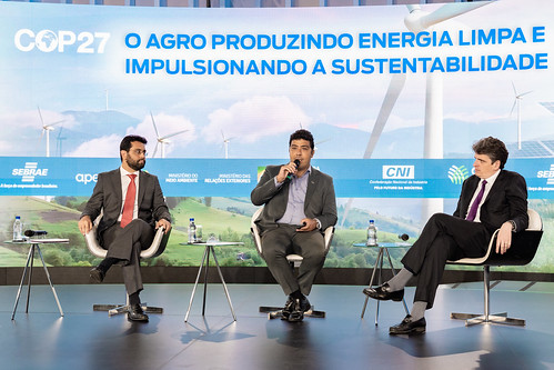 Embrapa Agroenergia debate energia limpa no agro em evento paralelo à COP-27