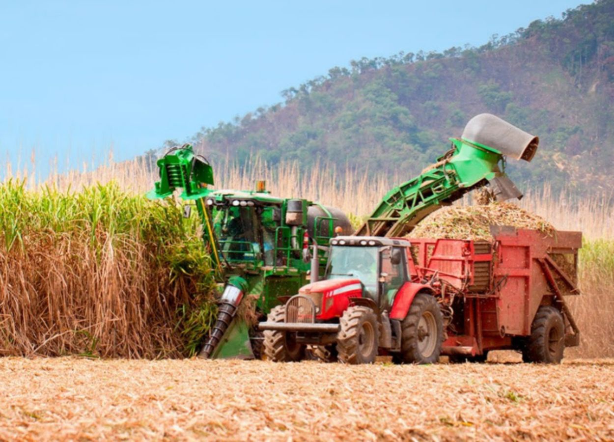 Agro paulista registra superávit de US$ 8,37 bilhões