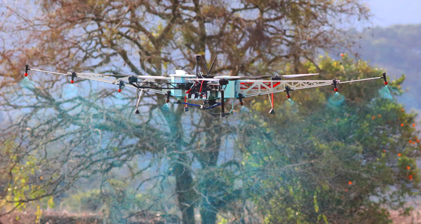 Startup brasileira de serviços agrícolas com drones é finalista na Grow-NY 2020
