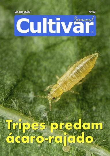 Cultivar Semanal 93