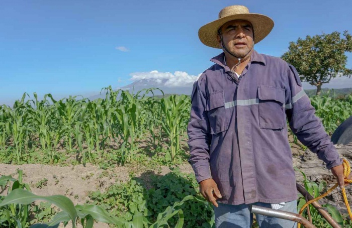 Recuperações judiciais no agro sobem 32% no 2º trimestre