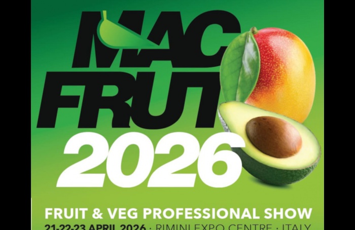 Macfrut 2026 destaca abacate e manga como protagonistas