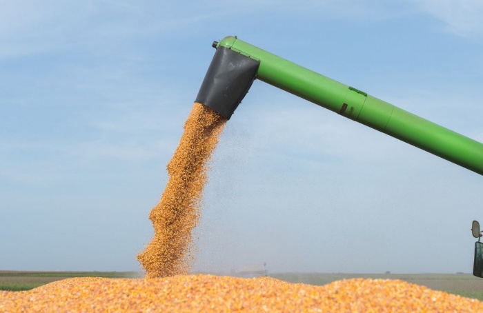 PR Safra 2025/26: colheita do milho segunda safra chega a 29%