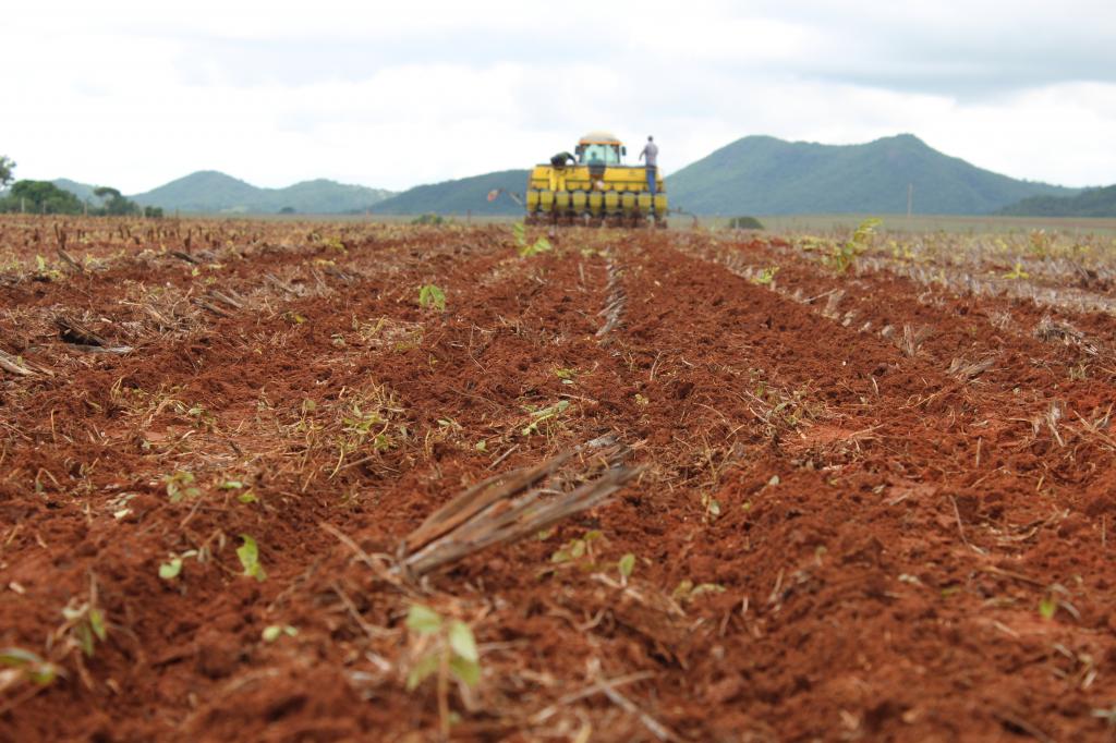 Chuvas colaboram e Goiás já plantou cerca de 20% da área de soja