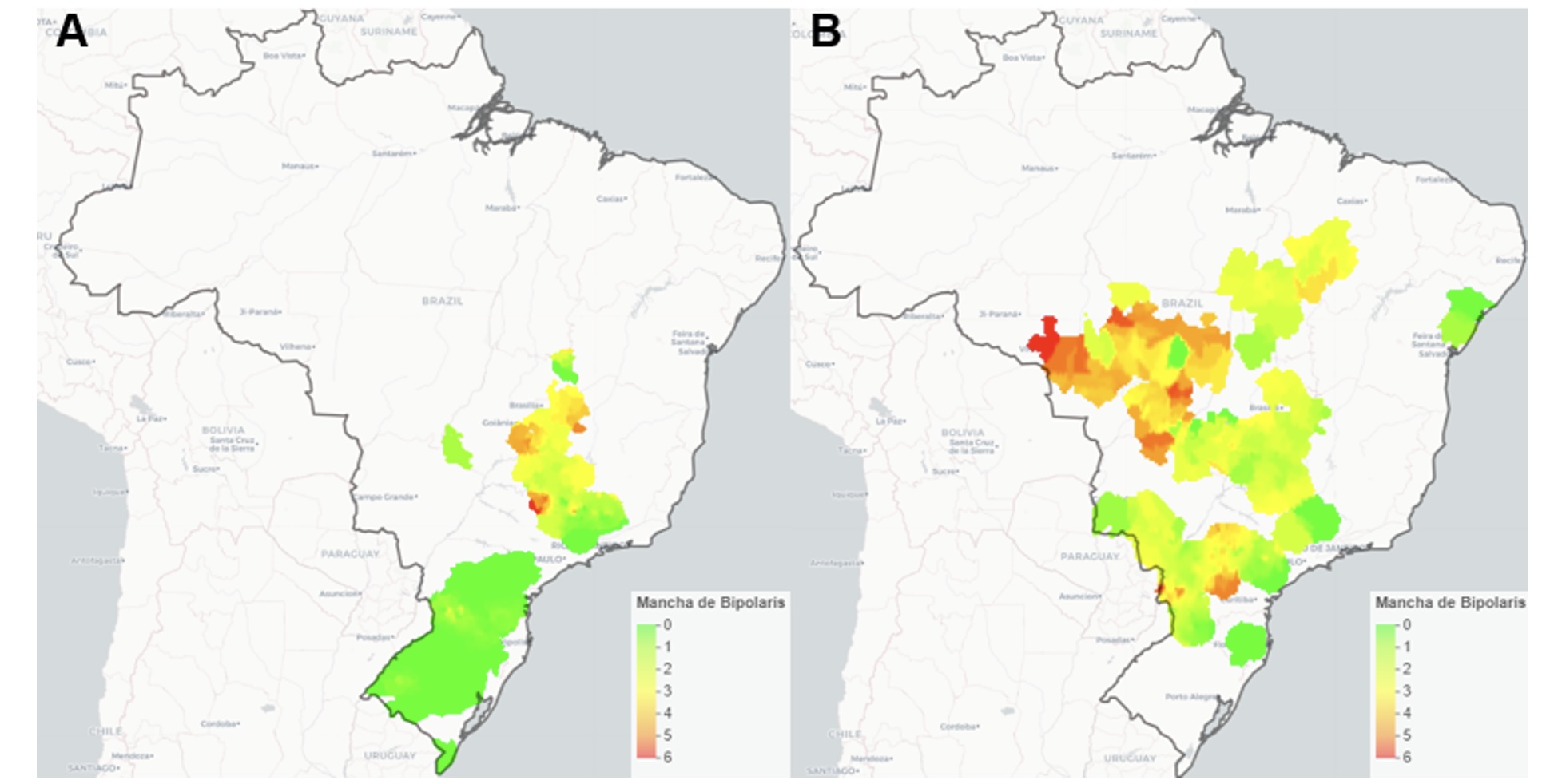 Mapa de ocorrência e severidade do Complexo de Bipolaris na safra de Verão (A) e 2° Safra (B) 2024 - Fonte: Ag. Service/Bayer