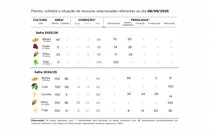 PR Safra 2025/26: plantios de soja e milho ganham ritmo
