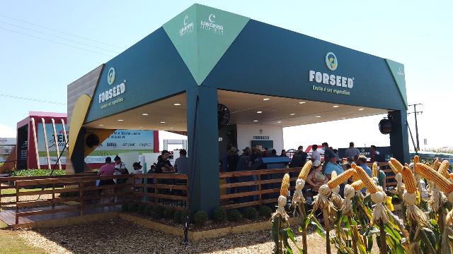 Forseed lança híbridos de milho no Show Rural