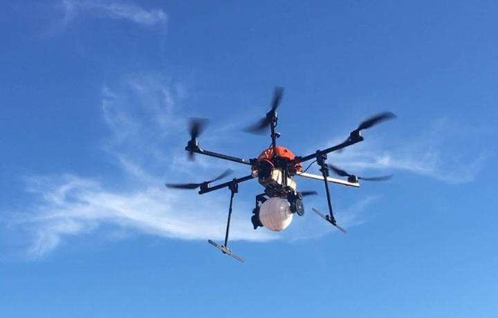 Liberação de macrobiológicos via drone gera maior rentabilidade ao produtor