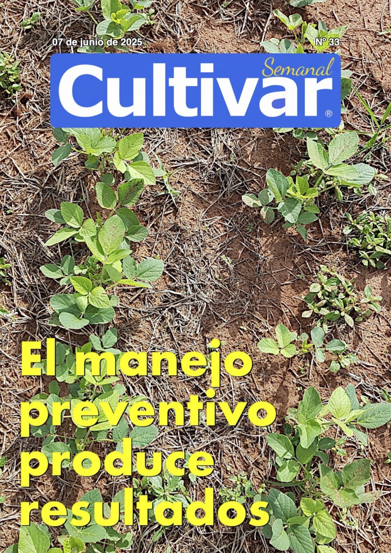 Cultivar Semanal 33