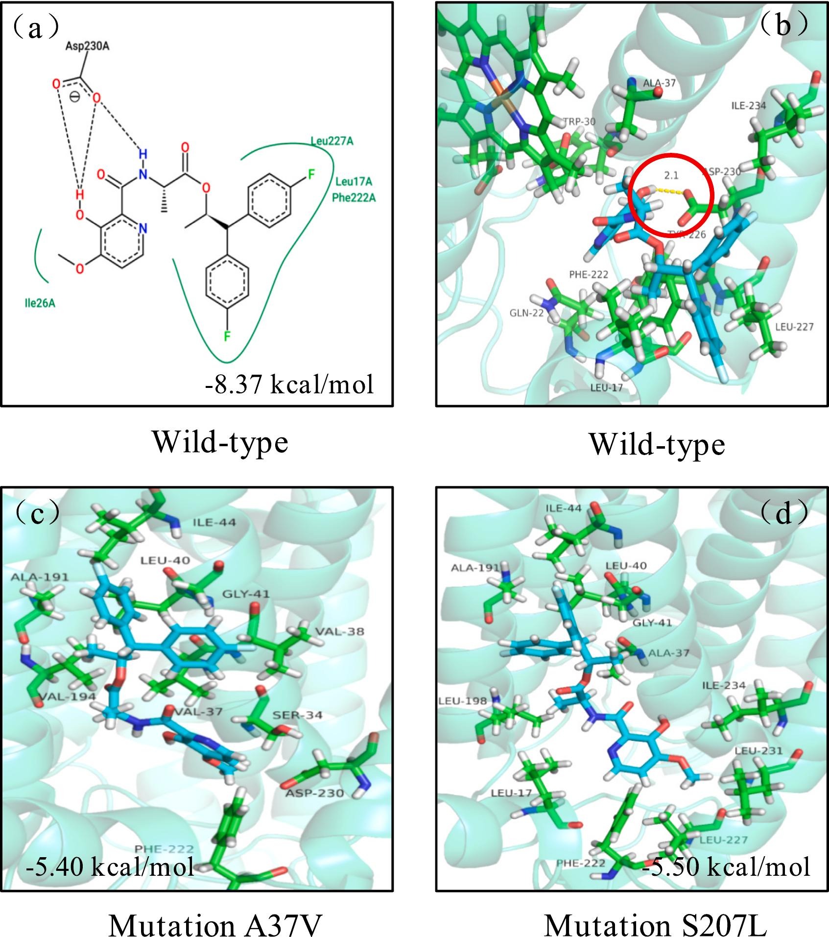 Encaixe molecular de florilpicoxamida nos sítios de ligação de proteínas CgCytb de mutantes resistentes e seus isolados parentais sensíveis em <i>Colletotrichum gloeosporioides</i>: (a) interação entre florilpicoxamida e CgCytb do tipo selvagem em duas dimensões; (b) interação entre florilpicoxamida e CgCytb do tipo selvagem em três dimensões; (c) interação entre florilpicoxamida e aminoácidos de CgCytb com a mutação CgCytb-A37V; (d) interação entre florilpicoxamida e aminoácidos de CgCytb com a mutação CgCytb-S207L