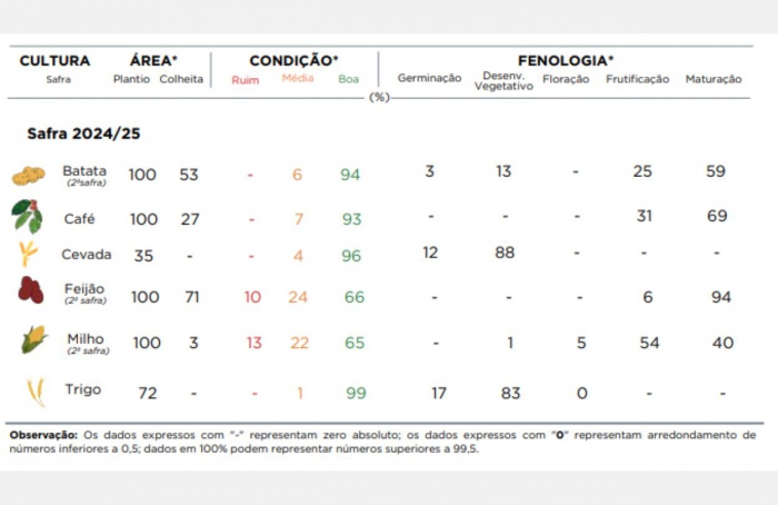 PR Safra 2024/25: condições climáticas favorecem o trigo