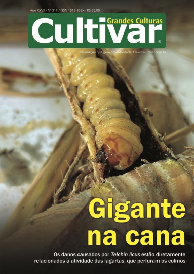 Cultivar Grandes Culturas 319