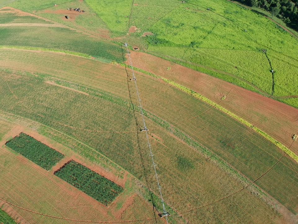 Estação de Pesquisa da Ubyfol será lançada em faculdade de Uberaba (SP)