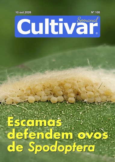 Cultivar Semanal 100