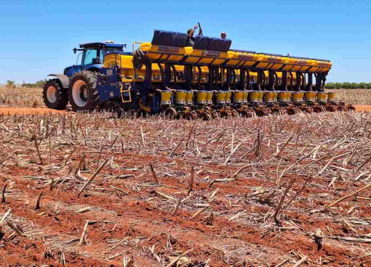 Mato Grosso do Sul inicia plantio da safra de soja 2026/27