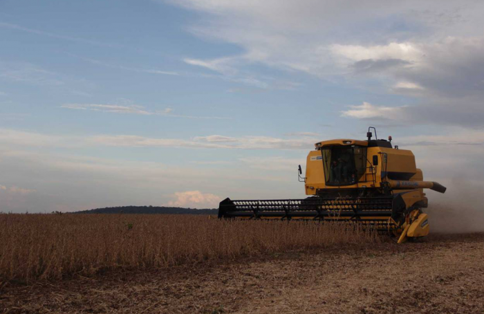 Soy reaches 85% of the harvested area at Capal units