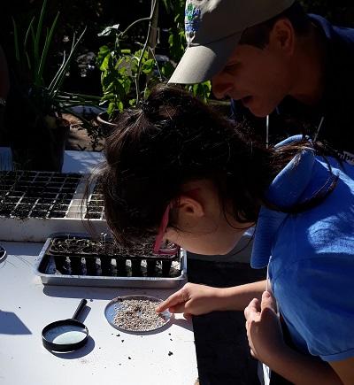 Adolescentes com Síndrome de Down aprendem sobre cultivo de hortaliças