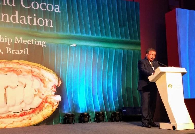 Produção brasileira de cacau deve crescer 50% em cinco anos