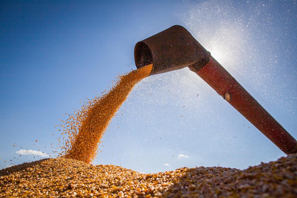 Oferta de grãos em MS supera a demanda, aponta Aprosoja/MS