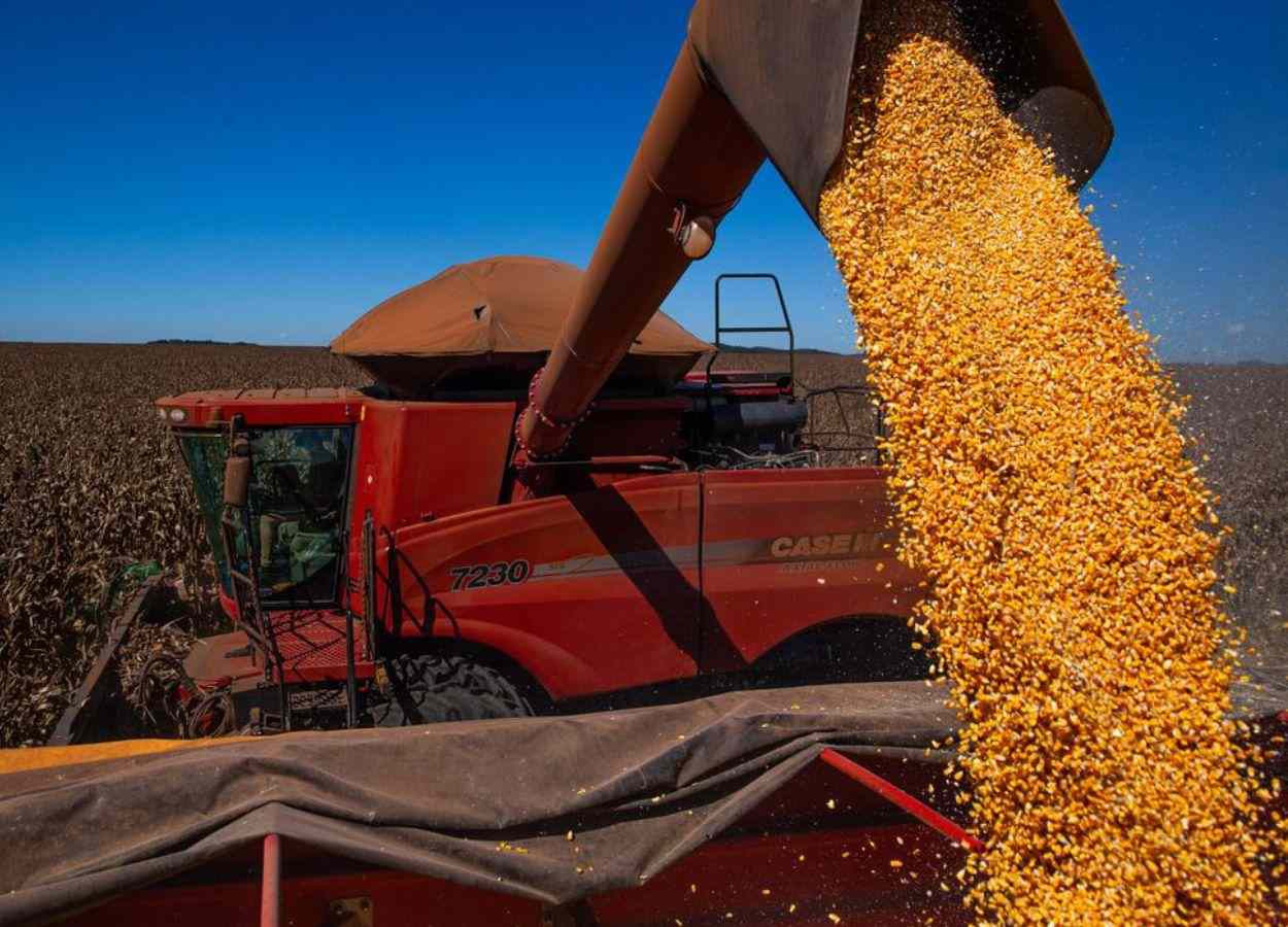 IBGE estima safra de grãos recorde em 2026