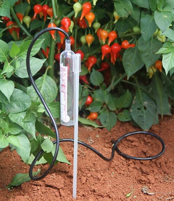Sensor facilita o manejo da água de irrigação em cultivos de hortaliças é destaque na Hortitec