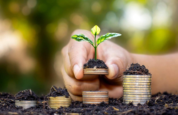 Concessão de crédito rural cai 16% no início de 2025