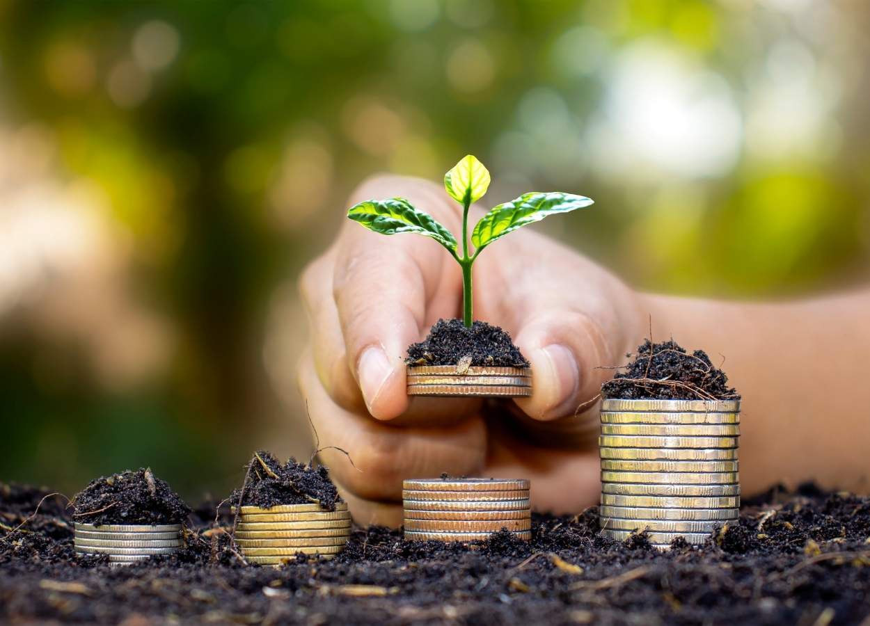 Concessão de crédito rural cai 16% no início de 2025