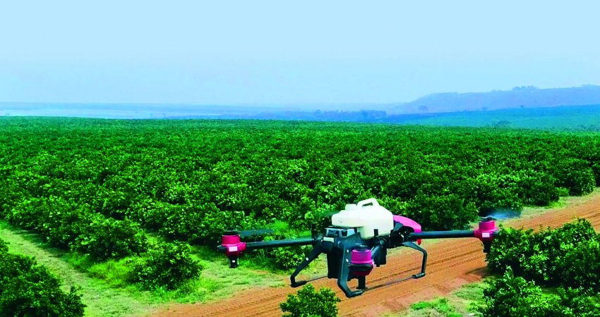 Drone para controle químico do psilídeo é estratégia complementar no combate ao greening