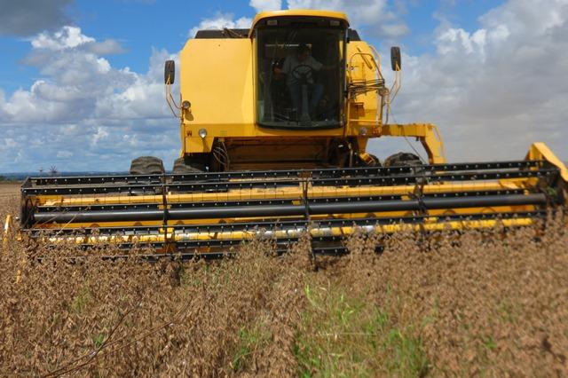 No MS, 84,3% da área plantada de soja já foi colhida