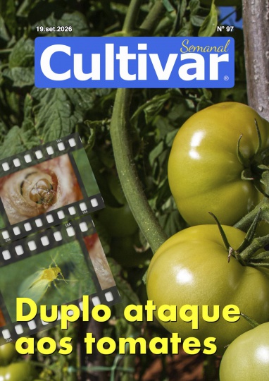 Cultivar Semanal 97