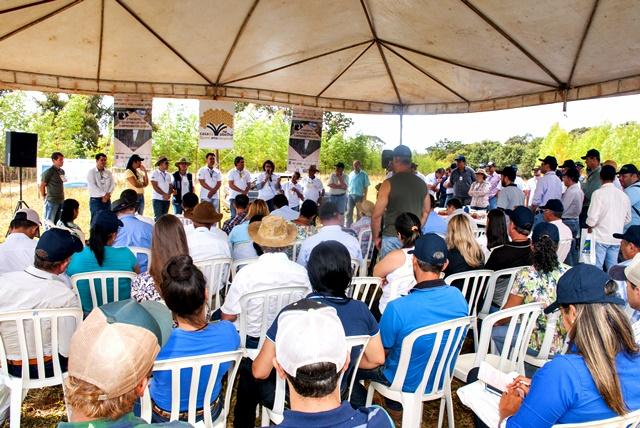 Encontro em Quirinópolis destaca ILPF em pequena propriedade