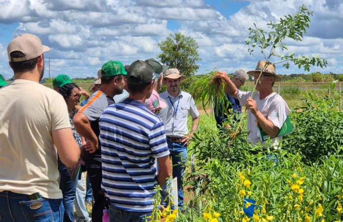 Solos arenosos exigem mudança no sistema produtivo