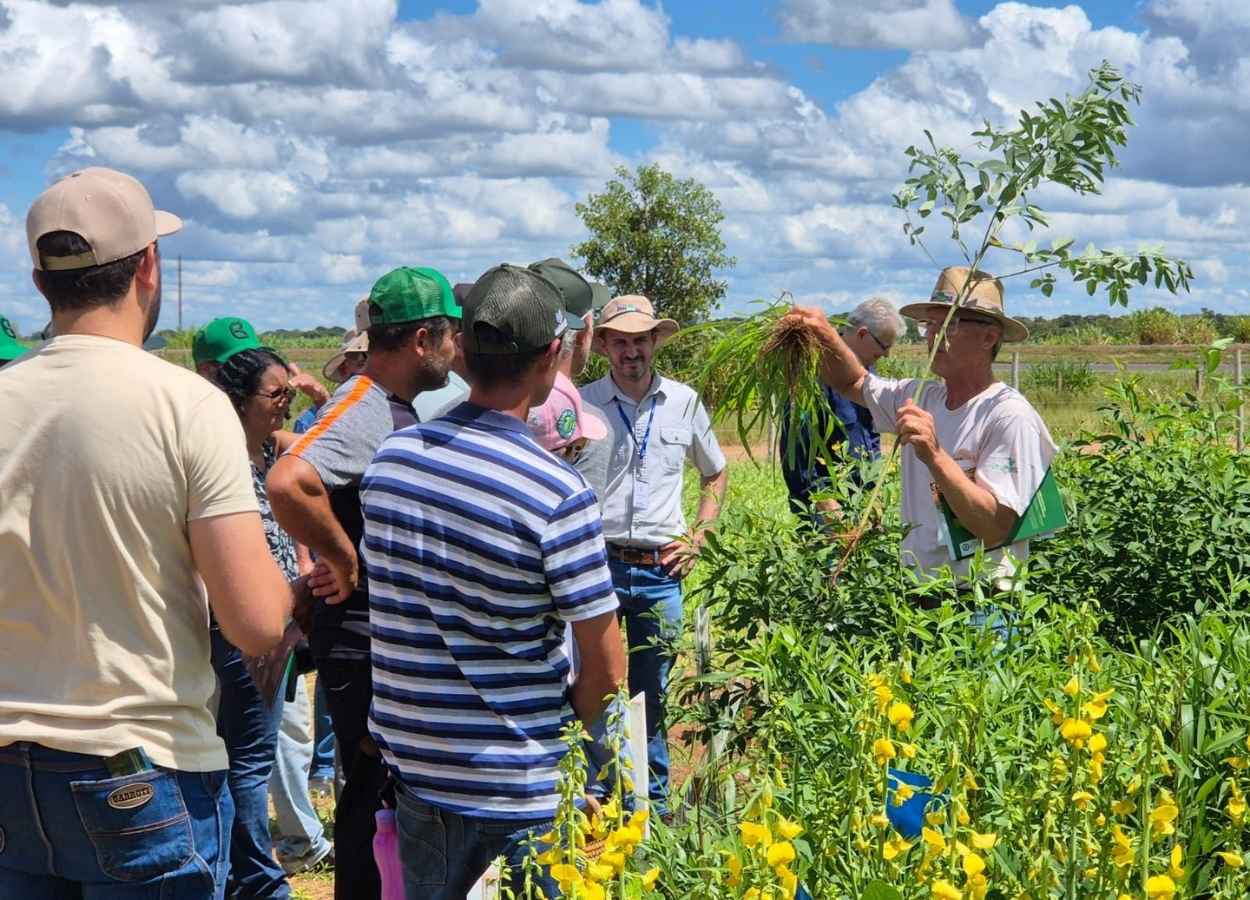 Solos arenosos exigem mudança no sistema produtivo