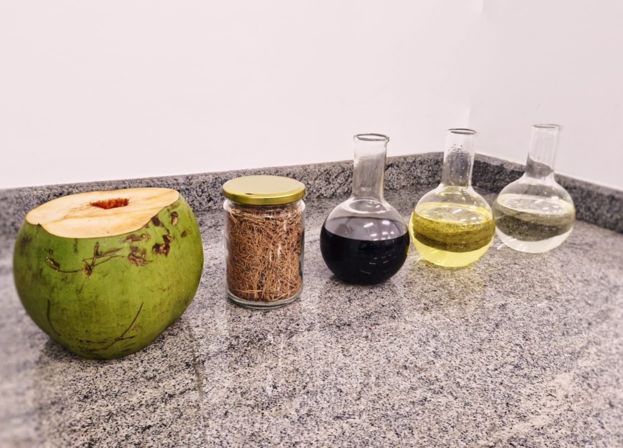 Biocombustível de coco impulsiona a transição energética