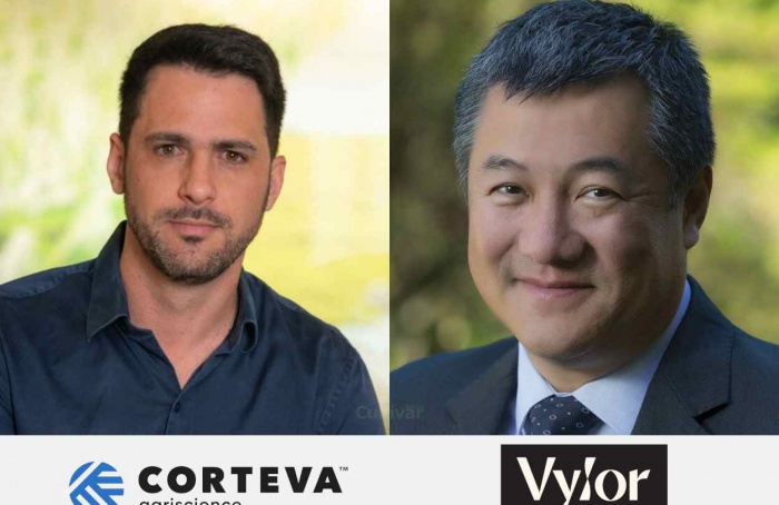 Corteva anuncia lideranças de Vylor e nova Corteva na América Latina