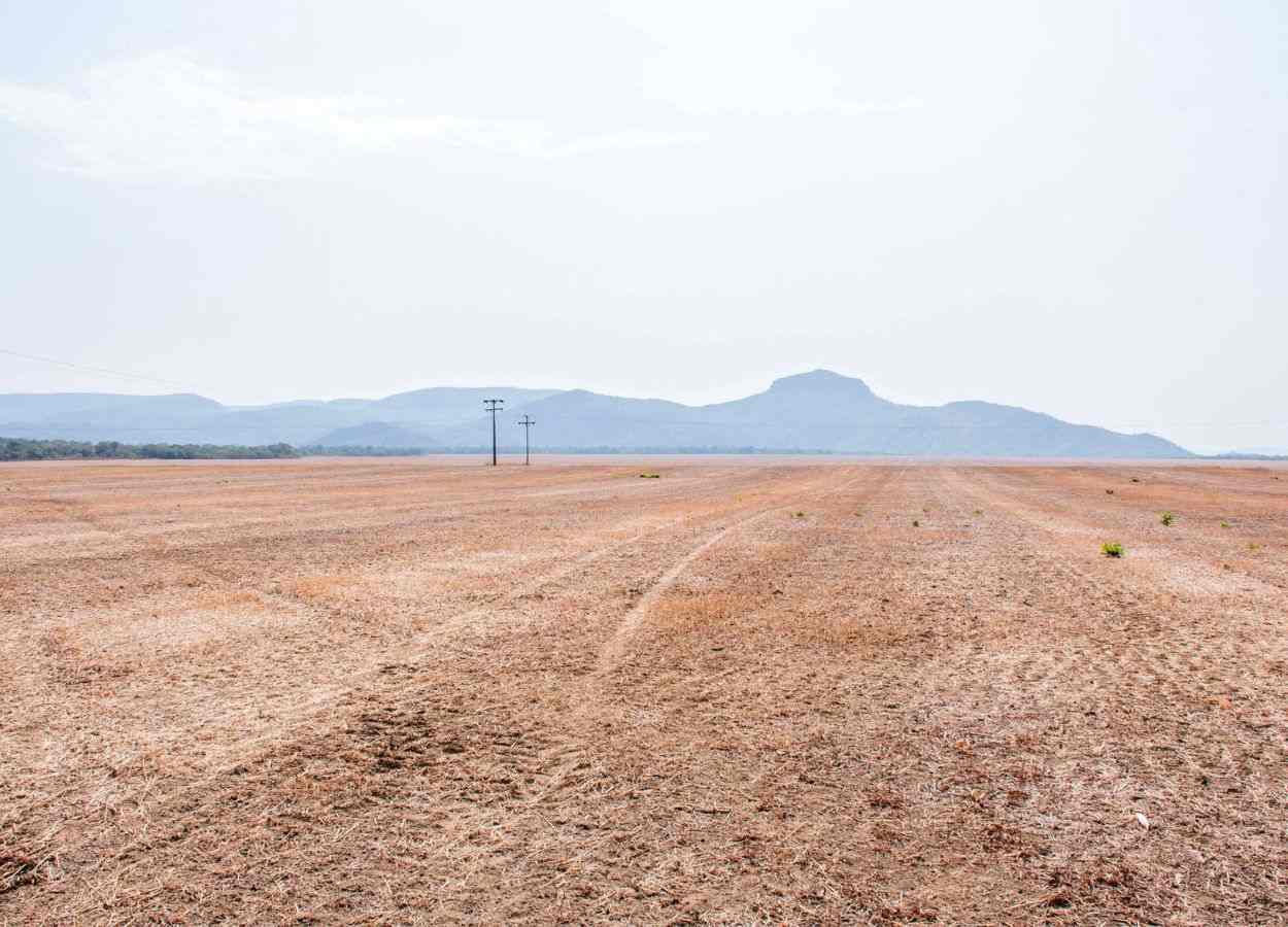 Vazio sanitário da soja segue até setembro no Tocantins